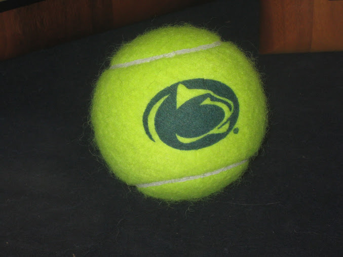 2012 PSUAC Tennis All-Conference Honors