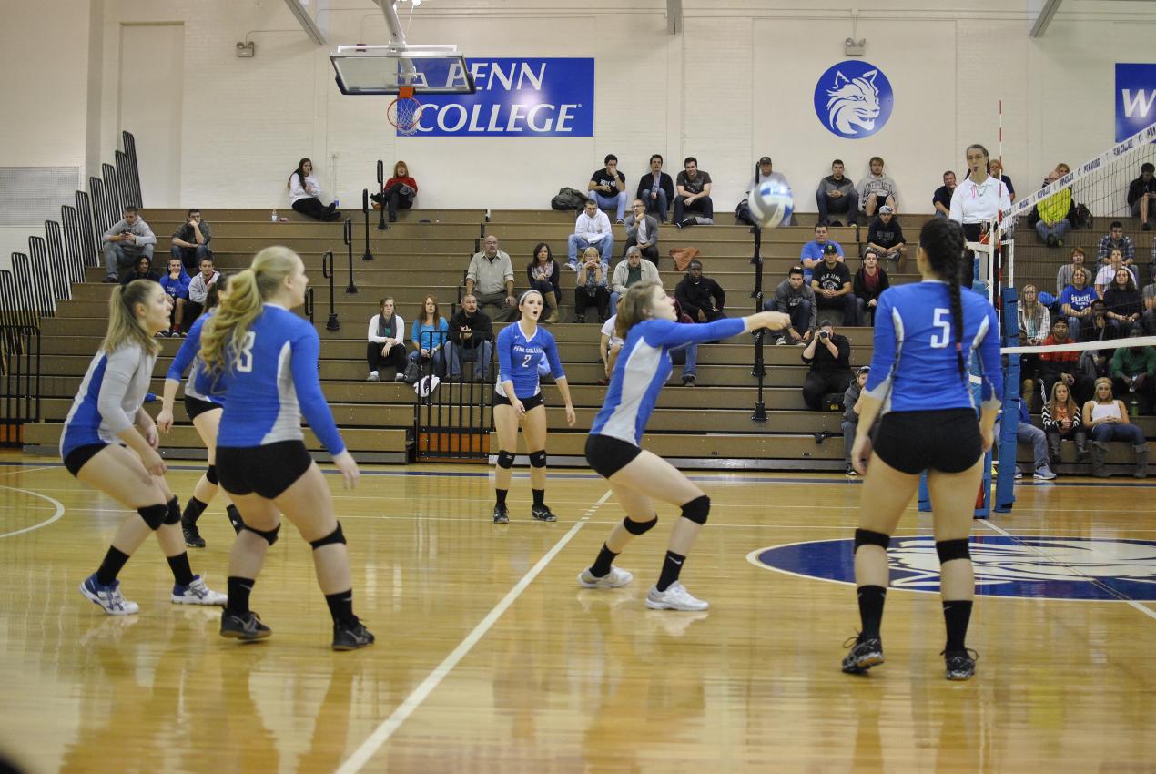 Women’s Volleyball: Lady Wildcats Advance to PSUAC Semifinals with Win Against PSU Hazleton